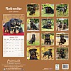 Rottweiler Calendar